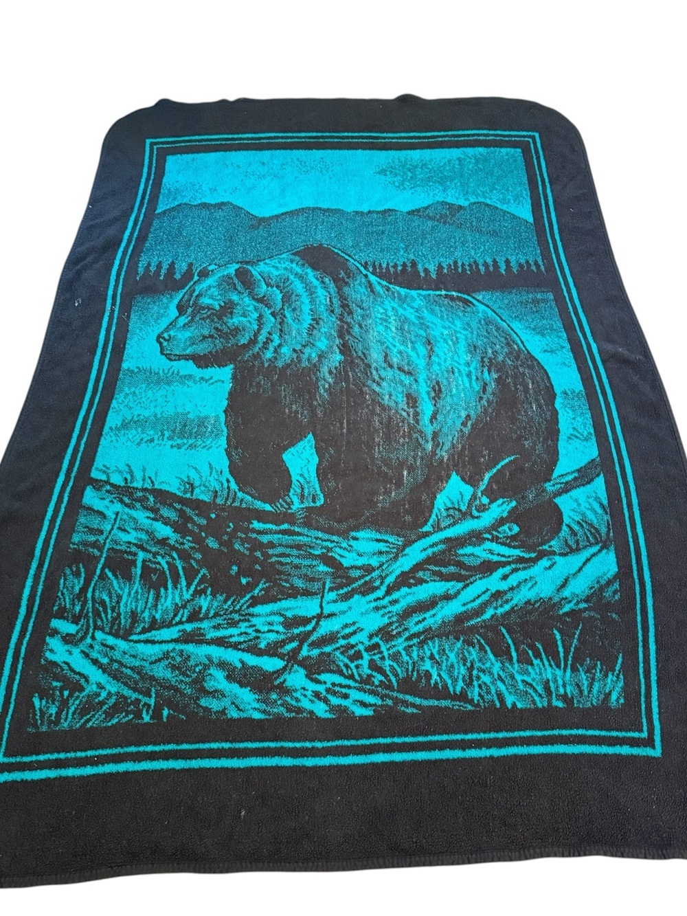 San Marcos vintage grizzly bear teal green blanket reversible 90s
